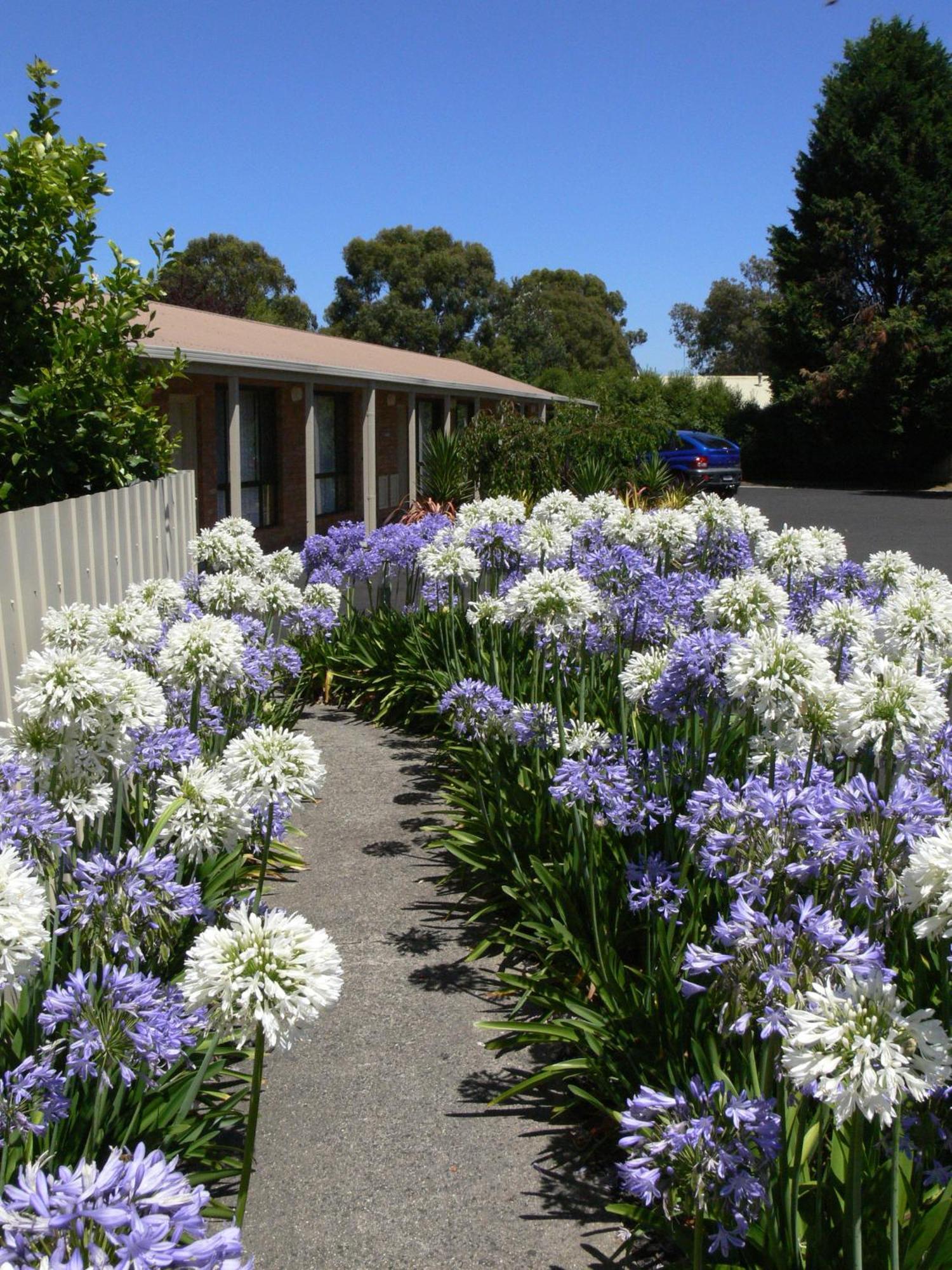 Begonia City Motor Inn Ballarat Buitenkant foto